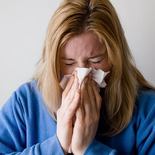 Vue interieure de la Pharmacie Moisant-Hays
